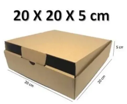 BOX KARDUS 20X20 T5 (PACK=10)