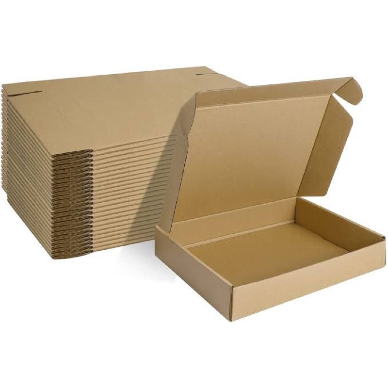 BOX KARDUS 30X10 T5 (PACK=10)